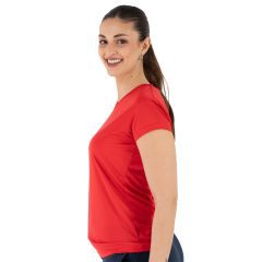 Alternative view of Dry Evolution Dama